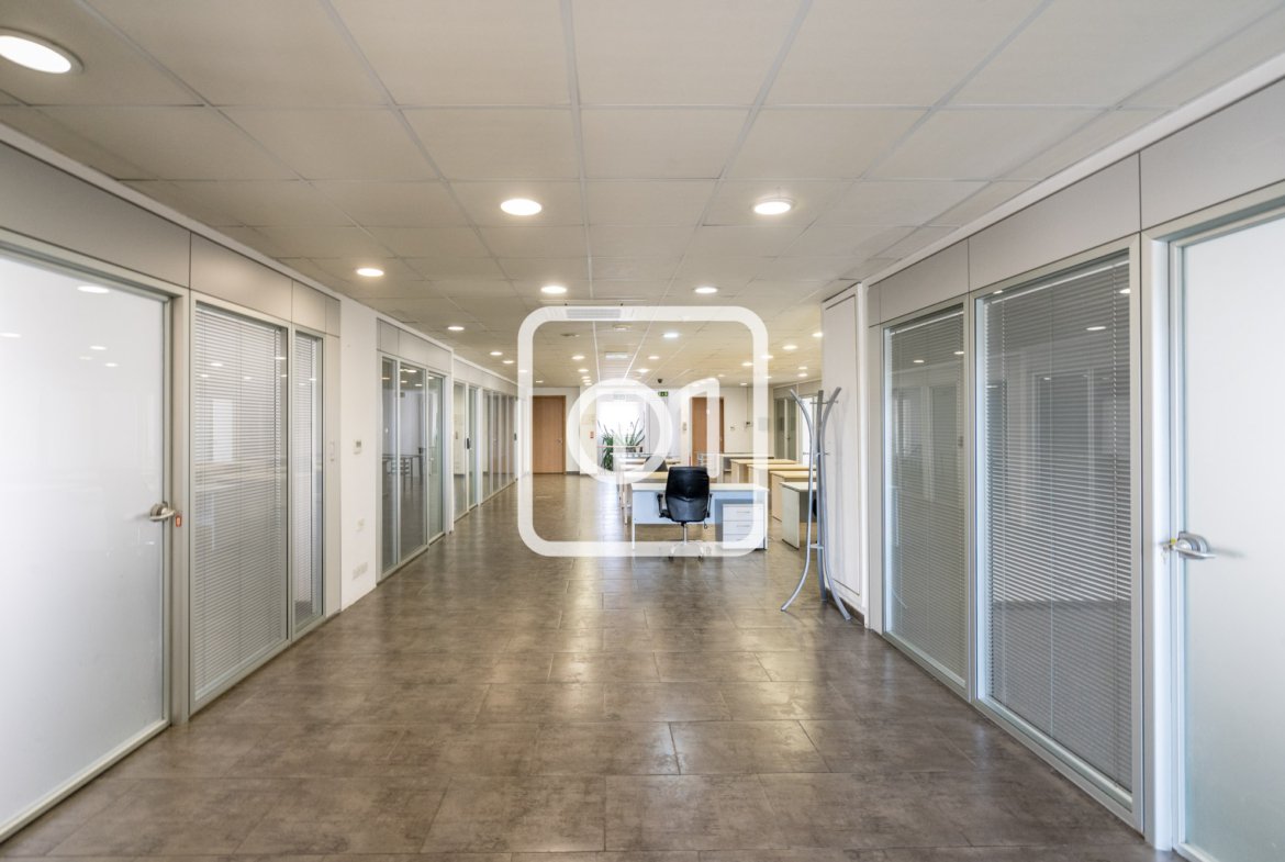 Open Space Office for Rent in Sliema