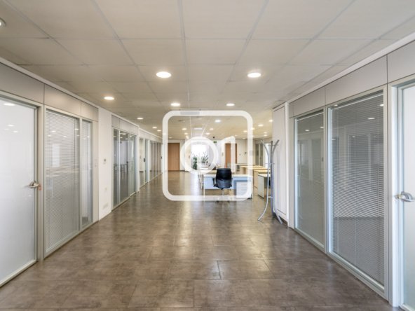 Open Space Office for Rent in Sliema