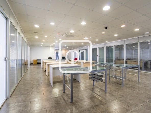 Open Space Office for Rent in Sliema