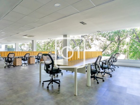 Modern Furnished Office