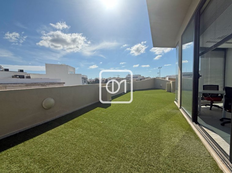 furnished penthouse office with terrace