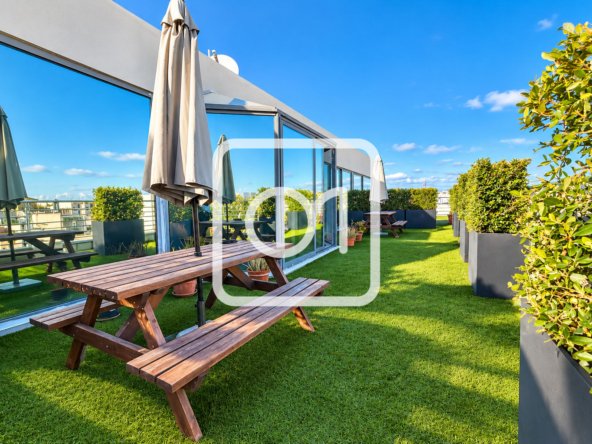 Furnished Office With Rooftop Terrace