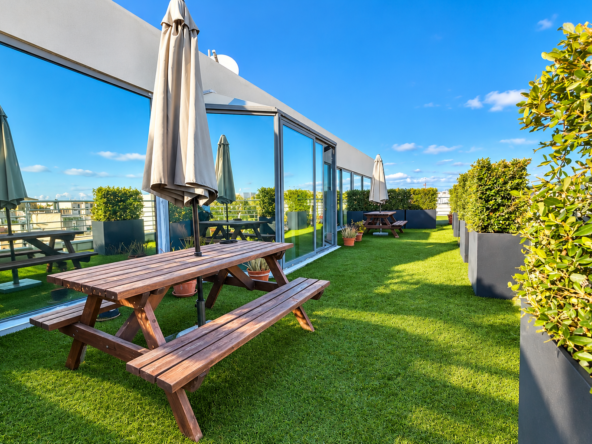 Furnished Office With Rooftop Terrace