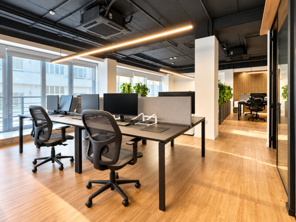 Furnished Office With Rooftop Terrace