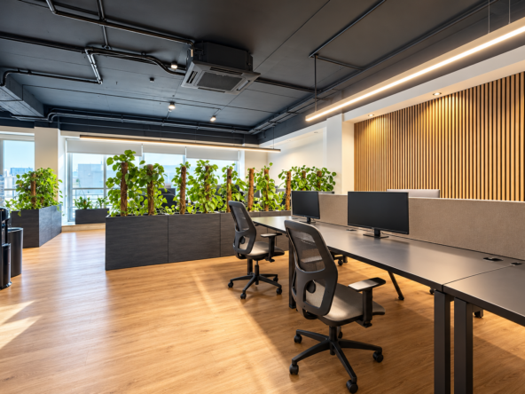 Furnished Office With Rooftop Terrace