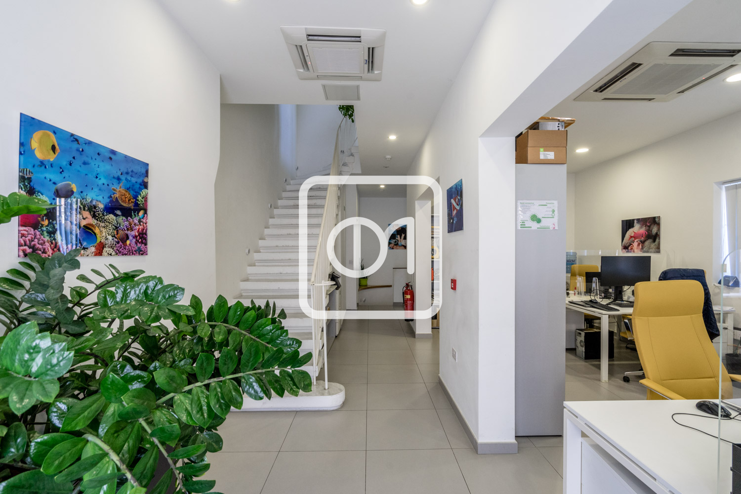 Office Block Rental 240 SQM Office Block in Ta Xbiex for Rent - Office Market